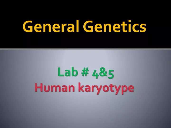 lab 4 5 human karyotype
