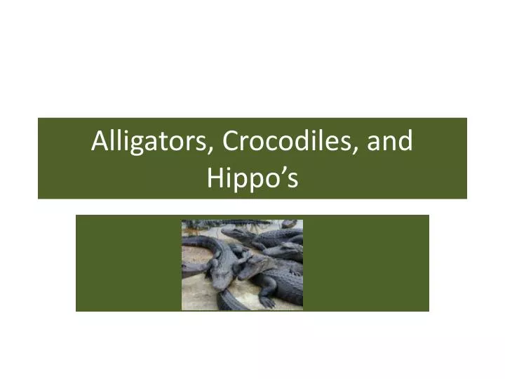 alligators crocodiles and hippo s