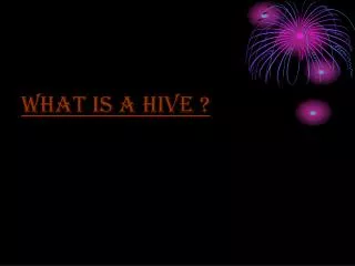 What is a hive ?