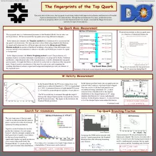 The fingerprints of the Top Quark