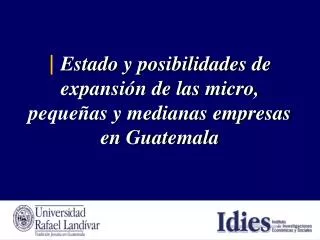 estado y posibilidades de expansi n de las micro peque as y medianas empresas en guatemala