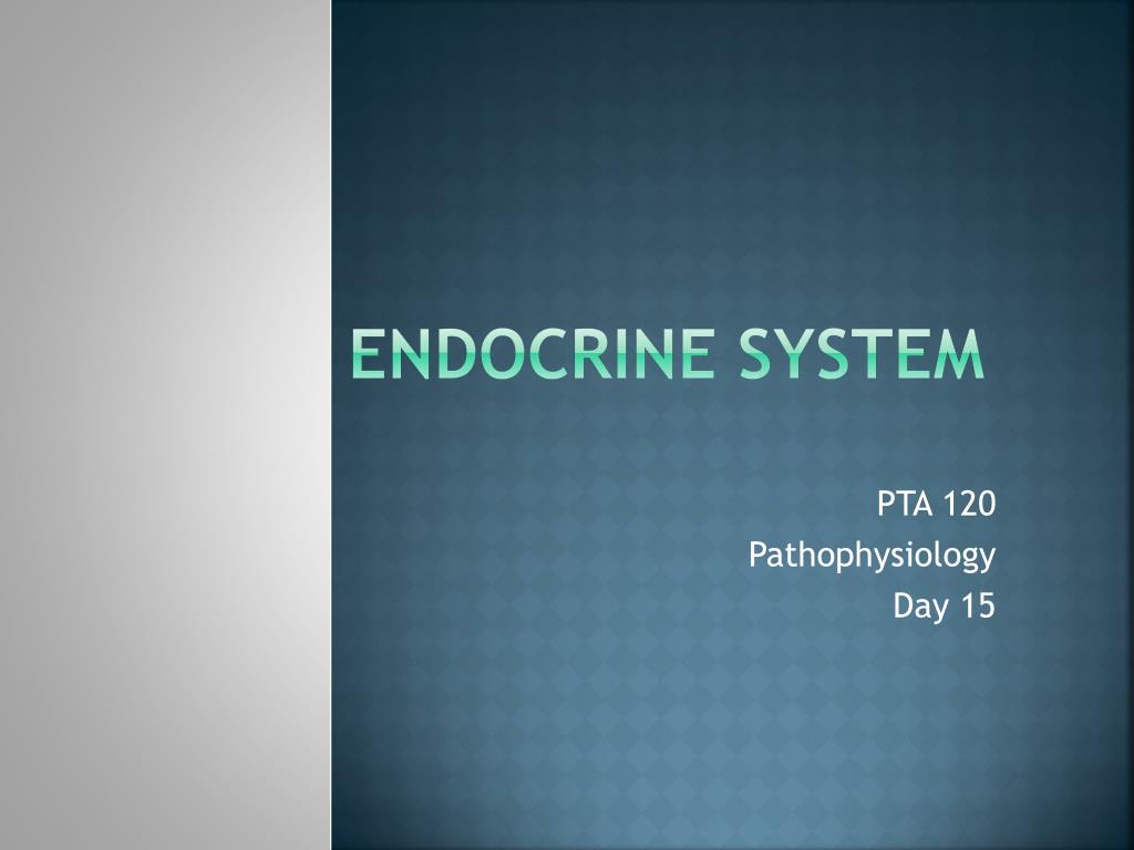 PPT - Endocrine System PowerPoint Presentation, free download - ID:6190968