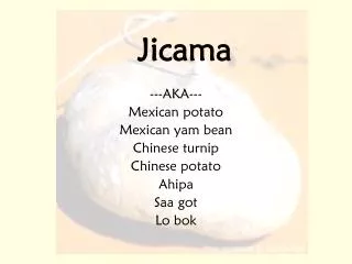 Jicama