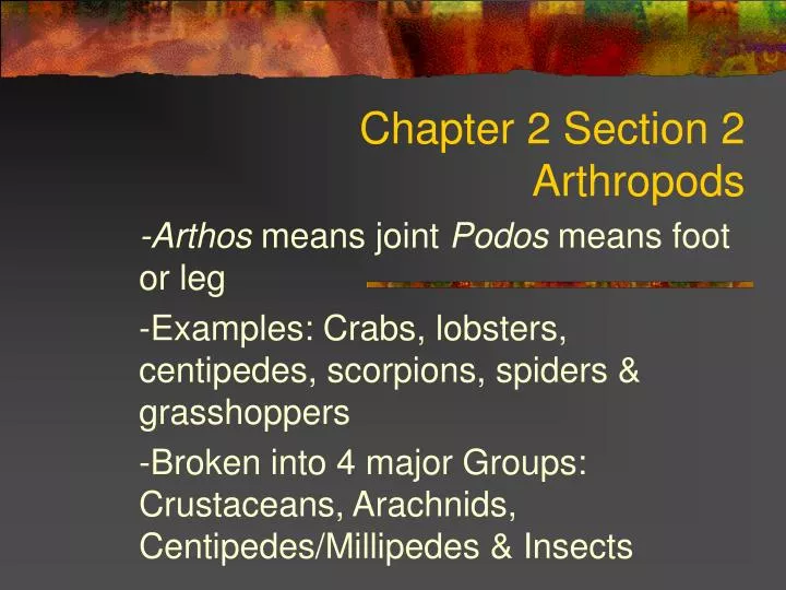 chapter 2 section 2 arthropods