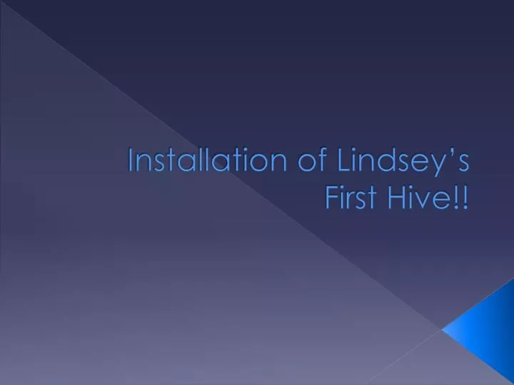 installation of lindsey s first hive