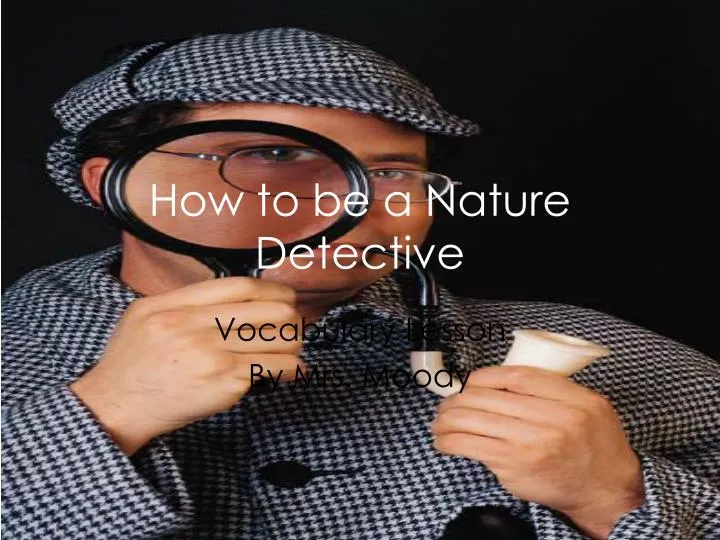 how to be a nature detective