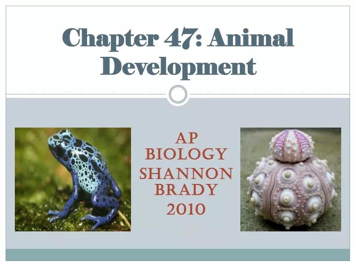 chapter 47 animal development