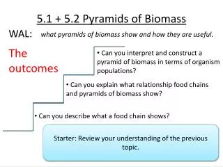 5.1 + 5.2 Pyramids of Biomass