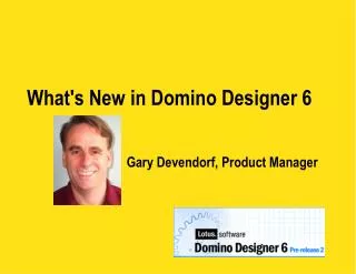 What's New in Domino Designer 6