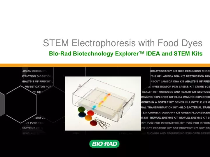 stem electrophoresis with food dyes