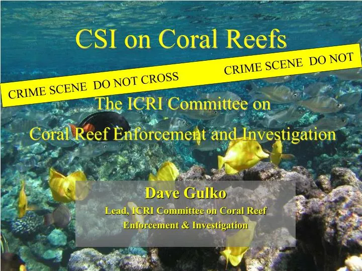 csi on coral reefs