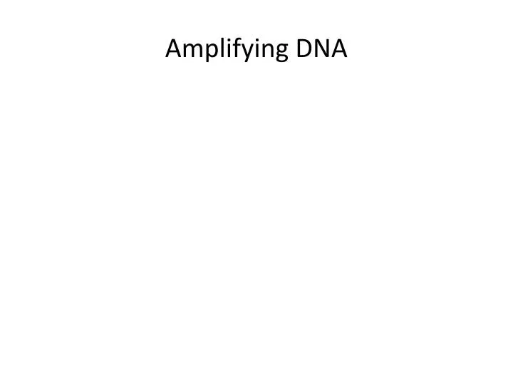 amplifying dna