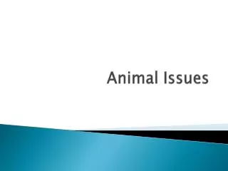 Animal Issues