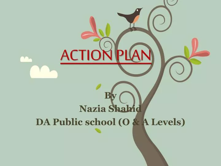 action plan