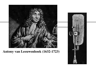 Antony van Leeuwenhoek (1632-1723)