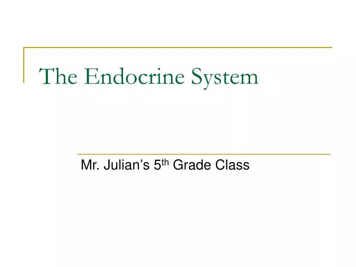 the endocrine system