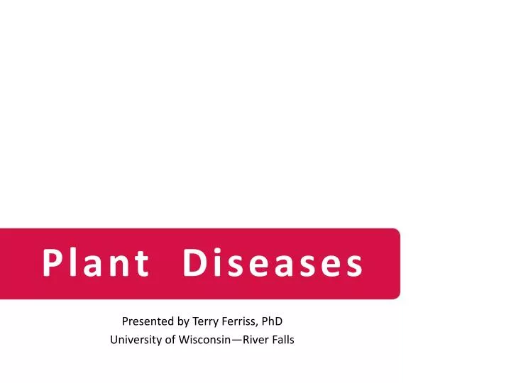 plant diseases