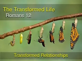 The Transformed Life