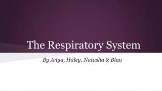 the respiratory system
