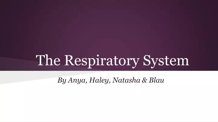 the respiratory system