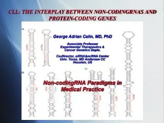 Non-codingRNA Paradigms in Medical Practice