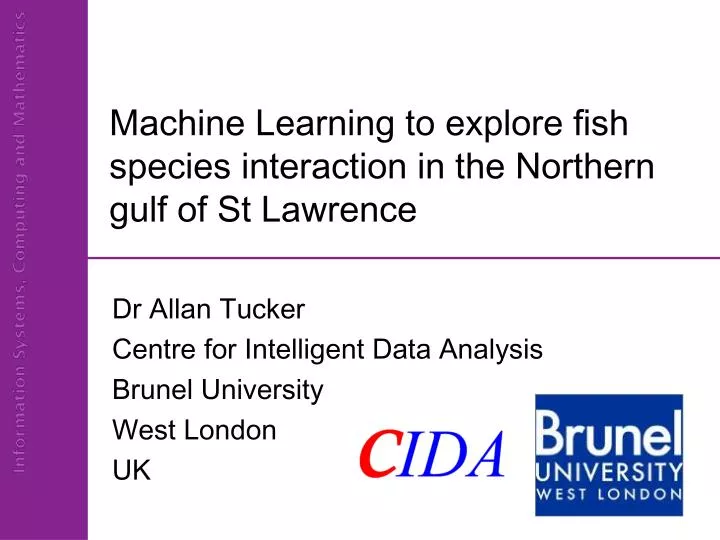 machine learning to explore fish species interaction in the northern gulf of st lawrence