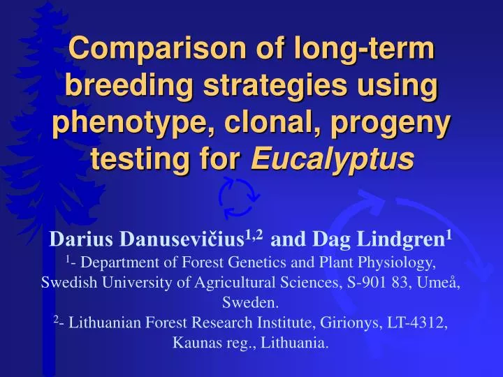 comparison of long term breeding strategies using phenotype clonal progeny testing for eucalyptus