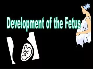 Development of the Fetus