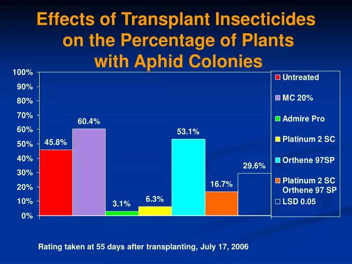 effects of transplant insecticides on the percentage of plants with aphid colonies