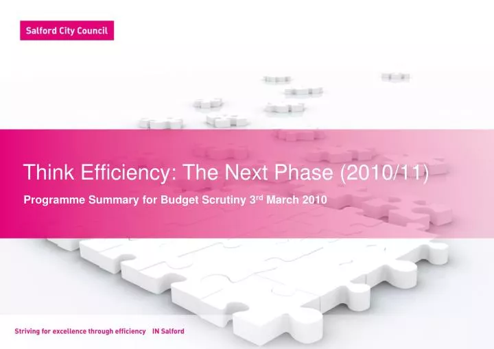 think efficiency the next phase 2010 11