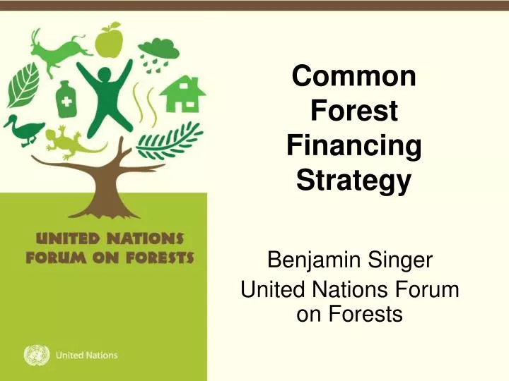 common forest financing strategy