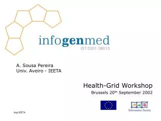 Health-Grid Workshop Brussels 20 th September 2002