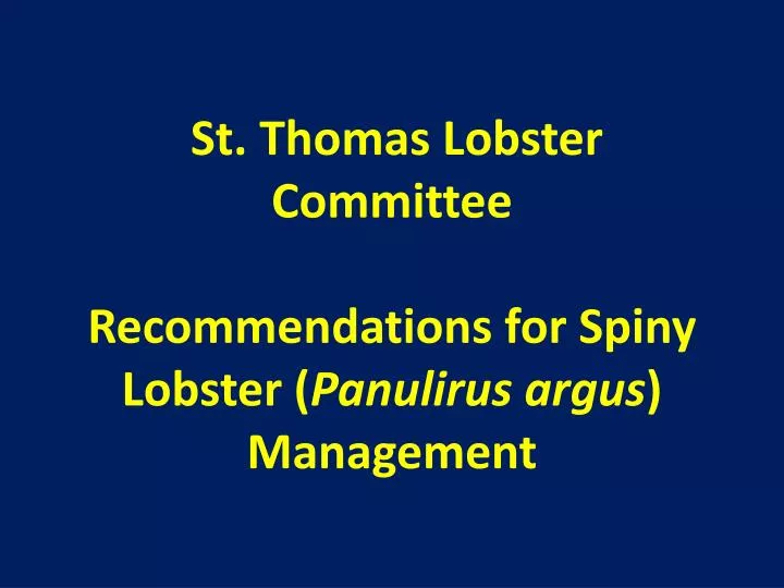 st thomas lobster committee recommendations for spiny lobster panulirus argus management