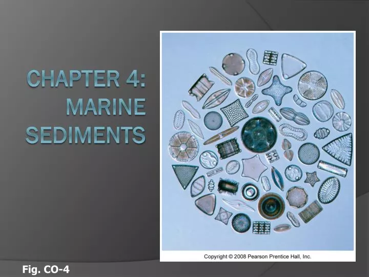 chapter 4 marine sediments