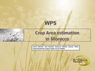 Crop Area estimation in Morocco