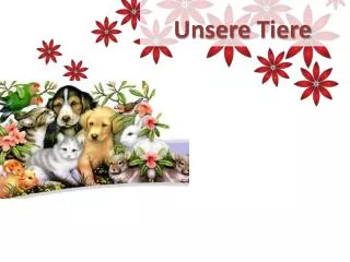 unsere tiere