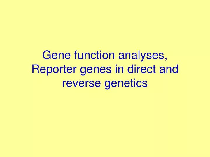 gene function analyses reporter genes in direct and reverse genetics