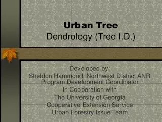 Urban Tree Dendrology (Tree I.D.)