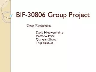BIF-30806 Group Project