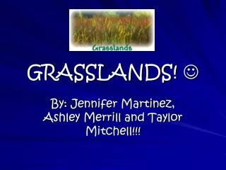 GRASSLANDS! ?