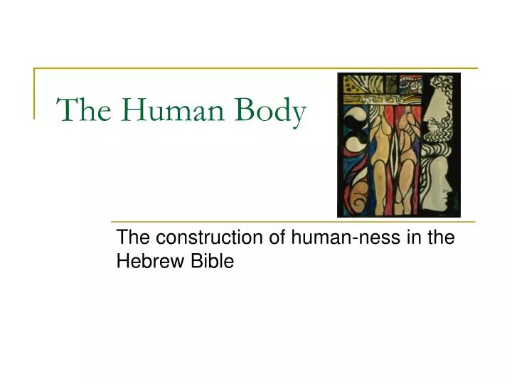 the human body