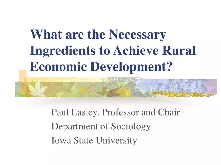 what are the necessary ingredients to achieve rural economic development
