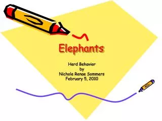 Elephants