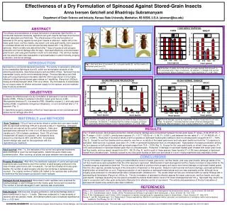 Effectiveness of a Dry Formulation of Spinosad Against Stored-Grain Insects