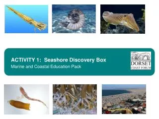 ACTIVITY 1: Seashore Discovery Box Marine and Coastal Education Pack