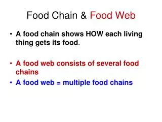 Food Chain &amp; Food Web