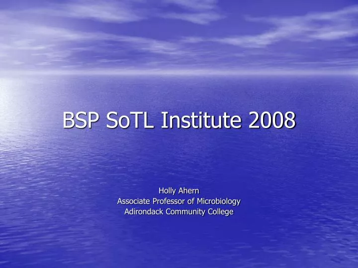 bsp sotl institute 2008