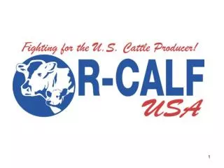 R-CALF USA Overview of International Trade and the U.S. Cattle and Beef Industries