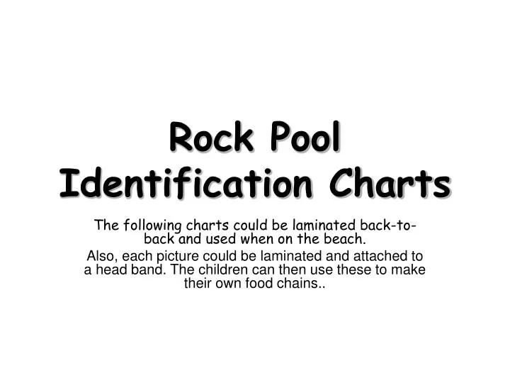 rock pool identification charts
