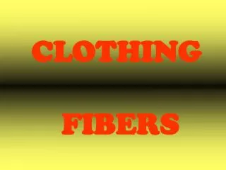 CLOTHING FIBERS